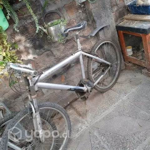 3 bicicleta aro26