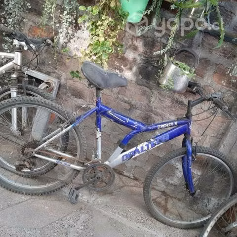3 bicicleta aro26 - Imagen 2