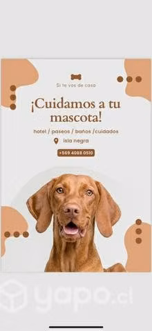 Hotel para perros