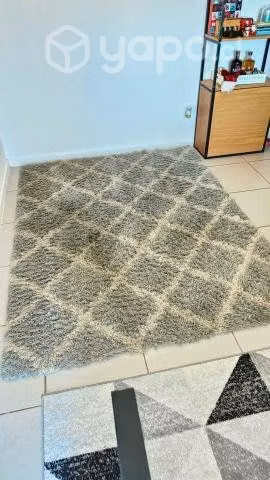 Alfombra Shaggy 210x160