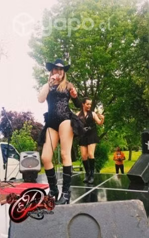 Cantante con Banda en vivo o Solista