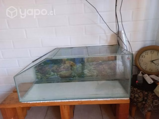 Acuario