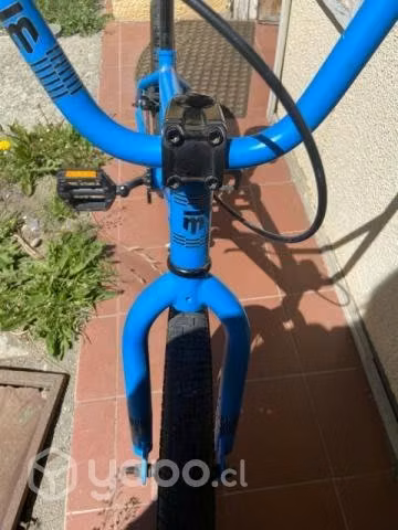 Mongoose
