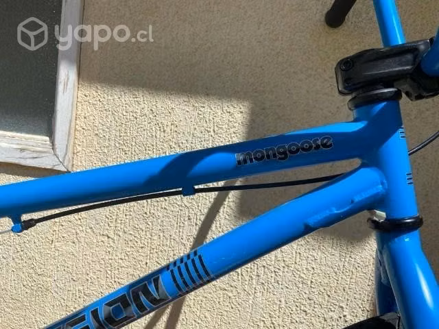 Mongoose