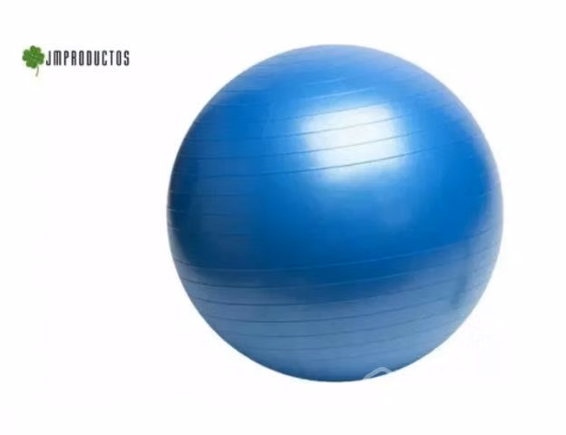 Pelota Balon De Yoga Pilates 65cm Terapia Ejercici