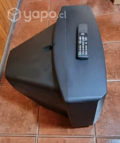 Televisor Sony 21"