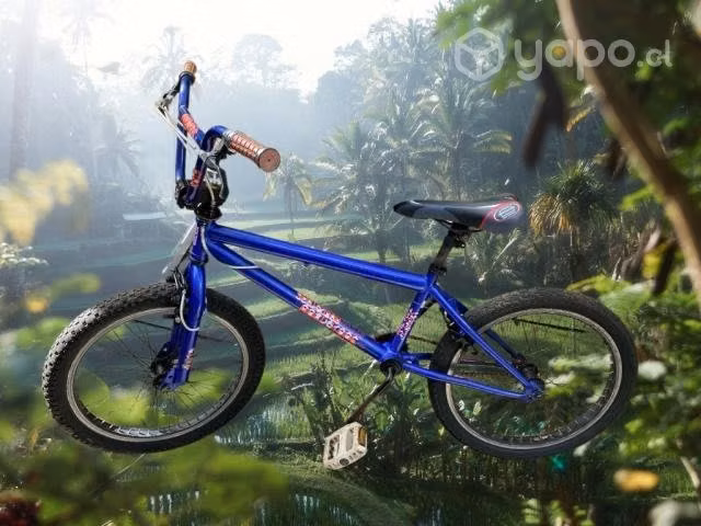 Bicicleta Oxford Bmx