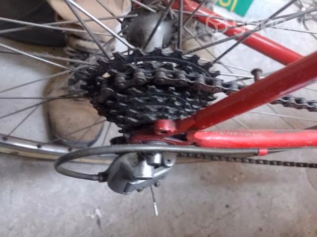 Bicicleta media pista - Imagen 2