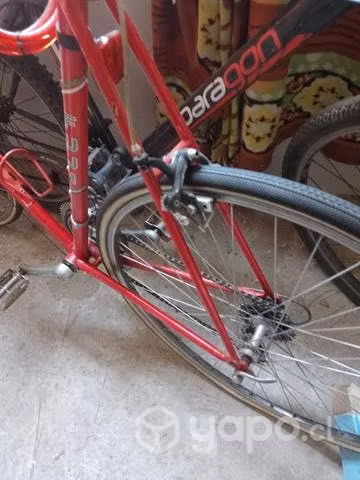 Bicicleta media pista - Imagen 4