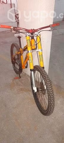 Bicicleta descenzo