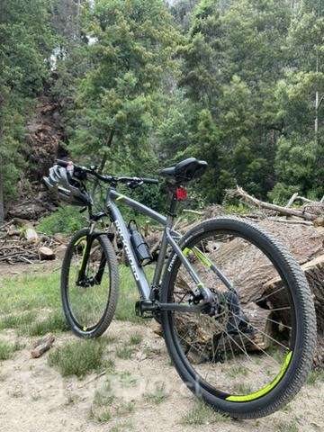 Bicicleta 27,5 talla L - Imagen 5