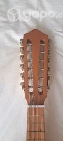 Mandolina Electro acustica 12 cuerdas