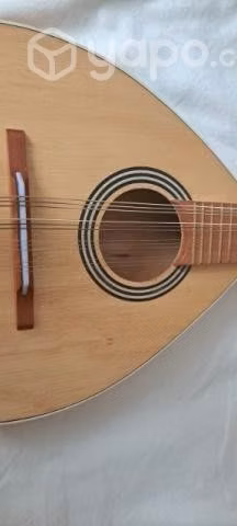 Mandolina Electro acustica 12 cuerdas