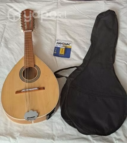 Mandolina Electro acustica 12 cuerdas