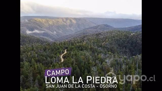 Vendo por enfermedad lindo Predio de 36 hectáreas