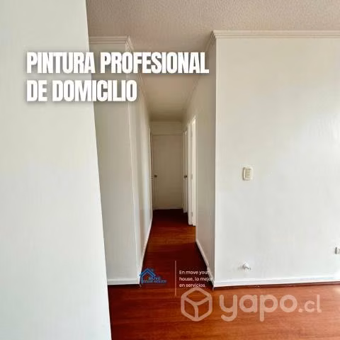 Maestro pintor / Yesero / Tabiqueria