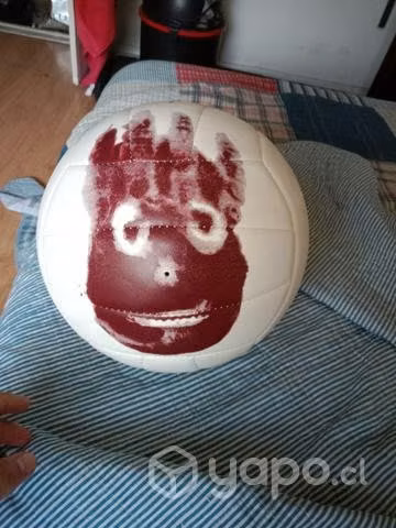Pelota de volley de wilson