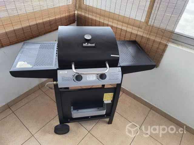 Parrilla a gas dos quemadores