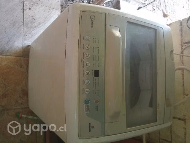 Labadora