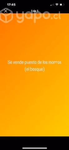 Puesto persa los morros