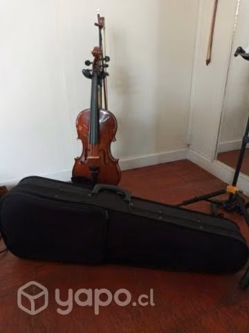 Violín