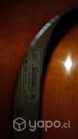Violín