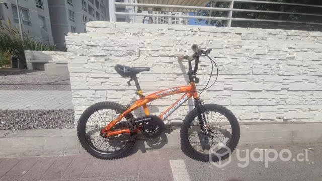 Bicicleta Niño Aro 18.