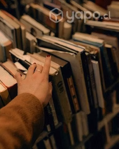 Clases PAES lenguaje (ONLINE)