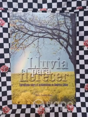 Lluvia para florecer de Mary Judith Ress