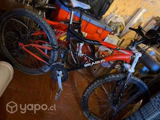 Bicicletas