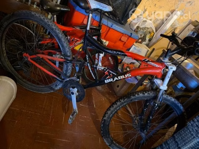 Bicicletas