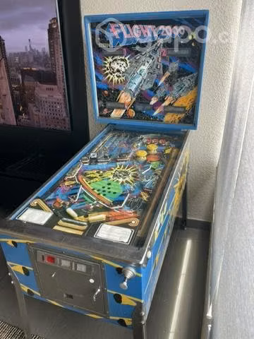 Flipper Flight 2000
