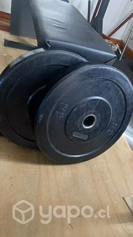 Par Discos olímpicos 15 kg