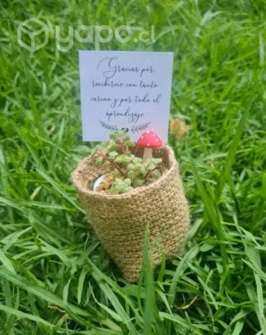 Recuerdos y/o regalos