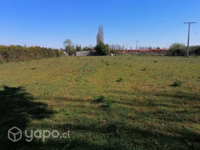 Vendo terreno de 5000 metros cuadrados