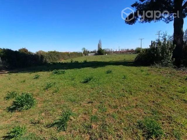 Vendo terreno de 5000 metros cuadrados
