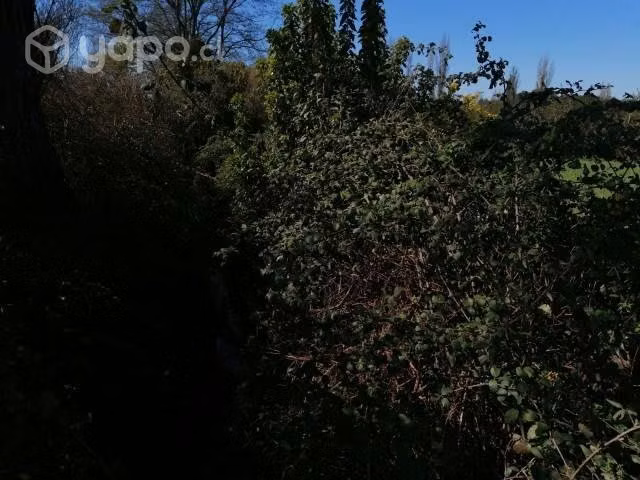 Vendo terreno de 5000 metros cuadrados