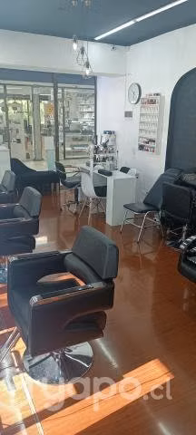 Estilista profesional