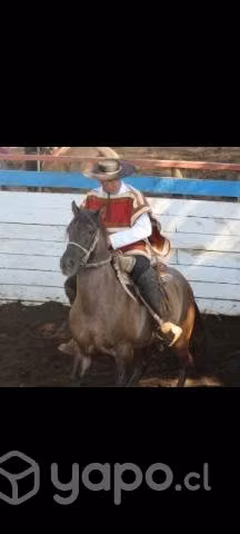 Caballo