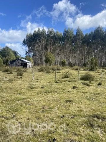 Parque Carelmapu, Maullin, Puerto Montt