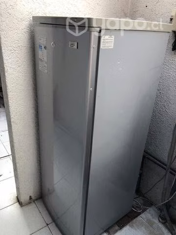 Congelador vertical