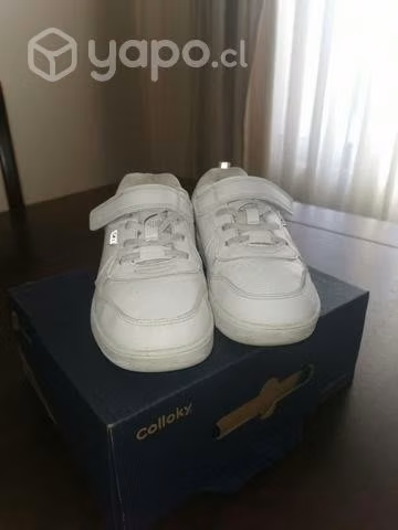 Zapatilla colloky 31