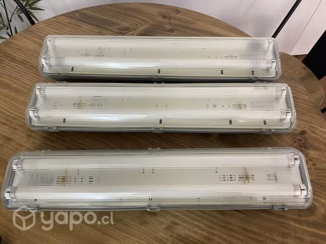 Canolas o lámparas de techo