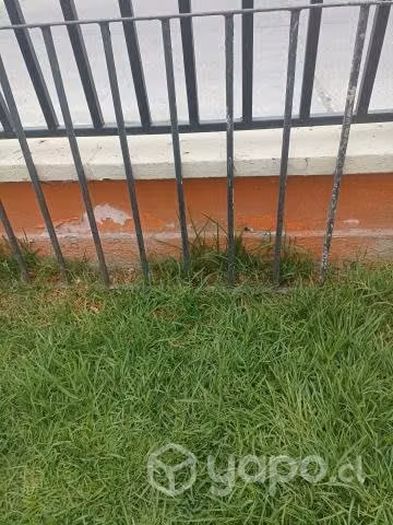 Rejas 80 alto x 20 ancho