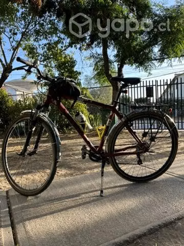 Bicicleta felt - Imagen 2
