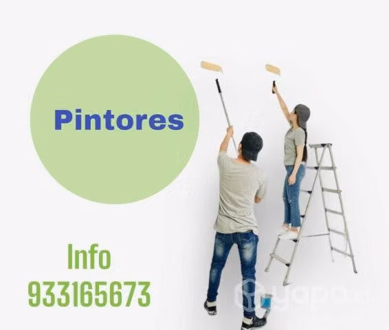 Aplicación De Pintura y Reparaciones