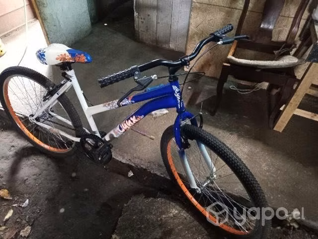bicicleta