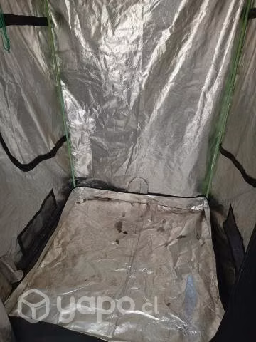 Kit Autocultivo Indoor
