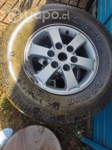 Ruedas camioneta completas