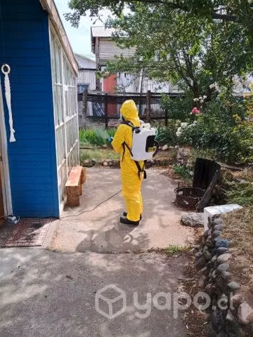 Servicio de fumigación a bajo costo